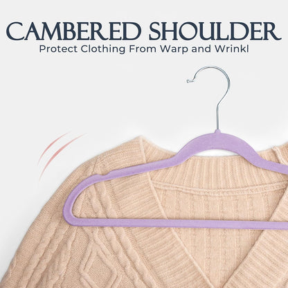 HOUSE DAY Purple Velvet Hangers 60 Pack